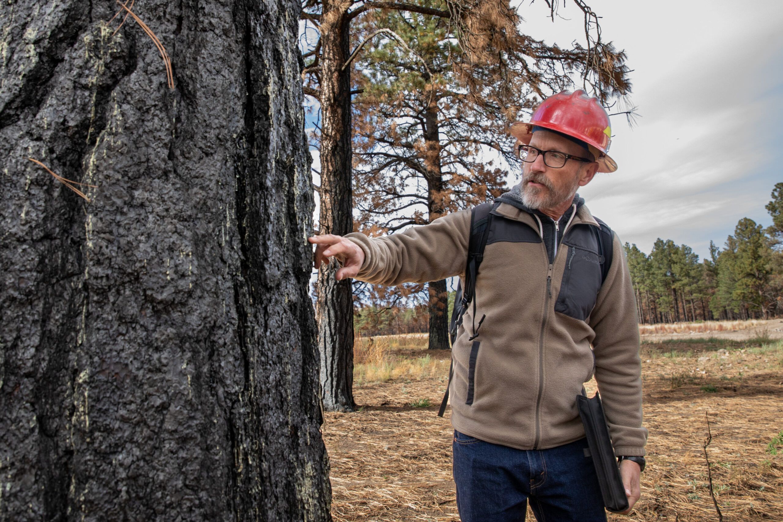 Students participate in an off campus field trip with Peter Fule's forestry class.
